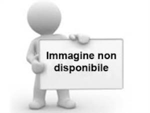 Descrizione immagine