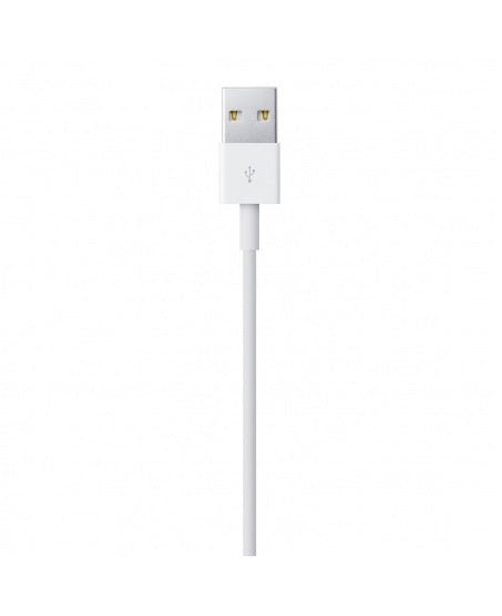 Apple Cavo dati da lightning a USB 1 metro ricarica dispositivi iphone e tablet - puntoluceled