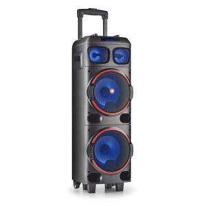 NGS Speaker Trolley WildDub1 DJ Party BT RGB TWS 300W Nera - puntoluceled